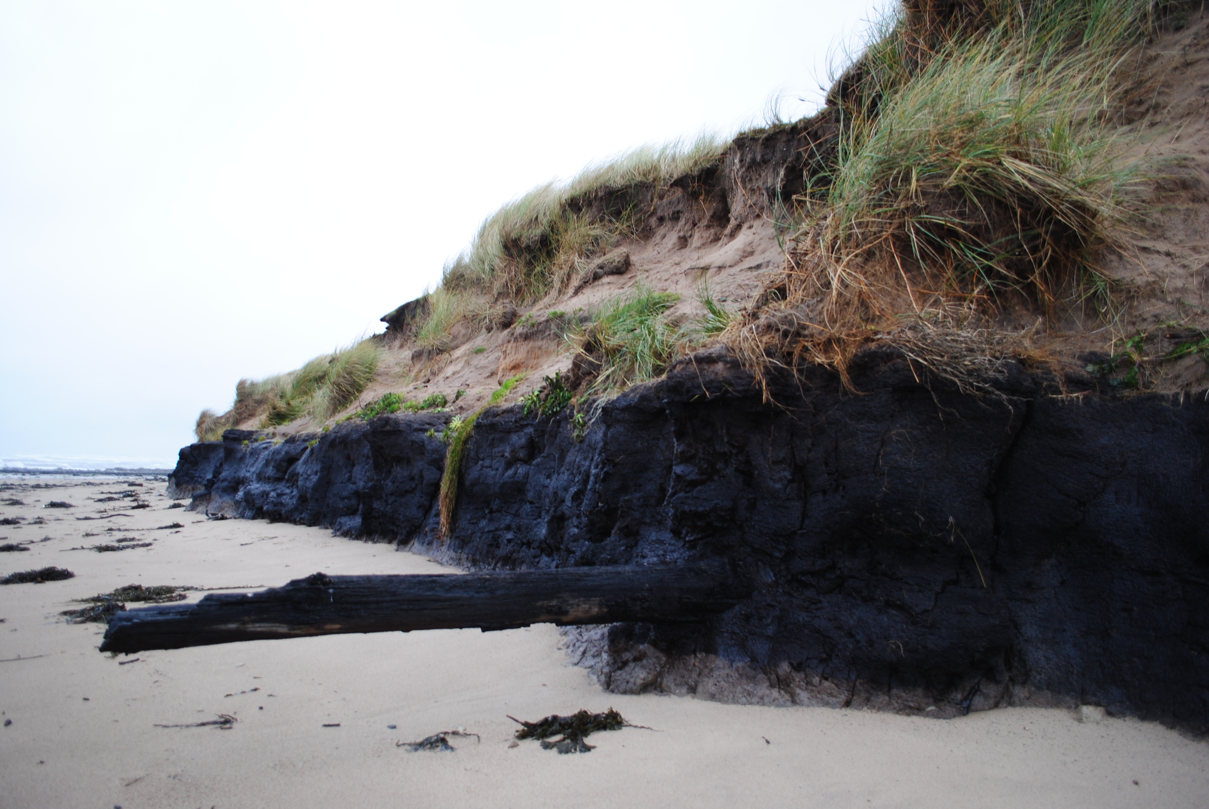 Ancient Peat on Coastline