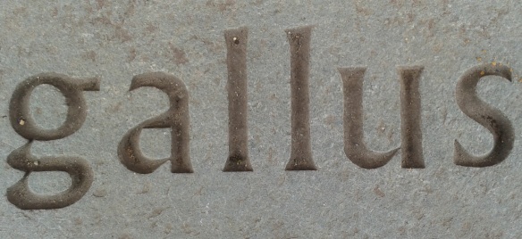Gallus Carving