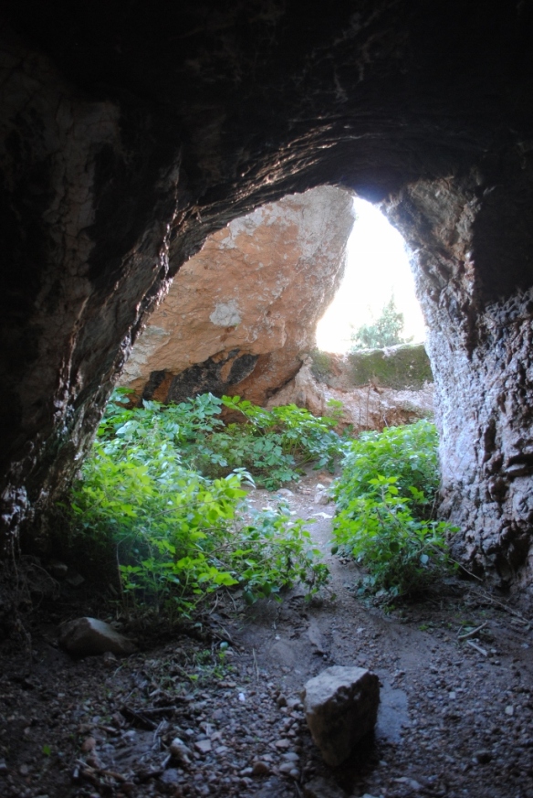 Pans Cave 6 (685x1024)